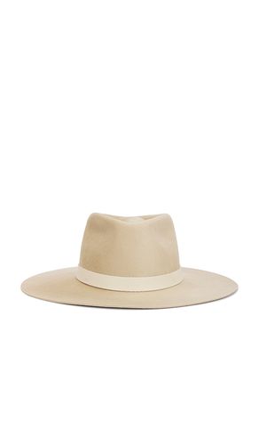 Cole Hat en . Taille L. Also en XL - Janessa Leone - Modalova