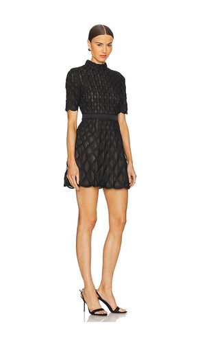 ROBE COURTE CINTRÉE COSTINA en . Taille 2. Also en 4 - SIMKHAI - Modalova