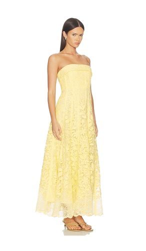 ROBE IMOGEN COTTON LACE BUSTIER MIDI en . Taille 2. Also en 6 - SIMKHAI - Modalova