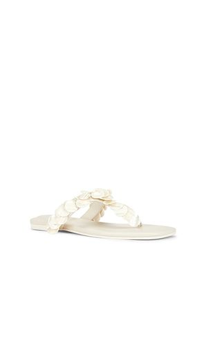 SANDALES ELIN NATURAL SHELL BEADED THONG en . Taille 37. Also en 38, 40 - SIMKHAI - Modalova