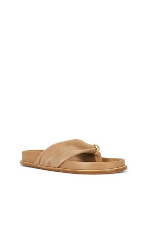 SANDALES STELLA en . Taille 36. Also en 38, 41 - SIMKHAI - Modalova