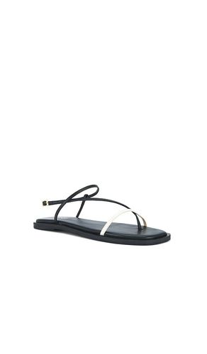 Alayta Square Toe Sandal en . Taille 8. Also en 9 - Kaanas - Modalova