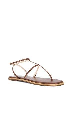 Aisha Strappy Gladiator Sandal en . Taille 7. Also en 9, 11 - Kaanas - Modalova