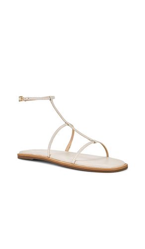 Nerea Strappy Gladiator Sandal en . Taille 7. Also en - Kaanas - Modalova