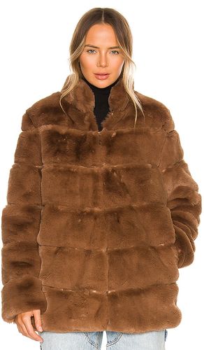 BLOUSON MAREN en . Taille L. Also en M, XS - LAMARQUE - Modalova