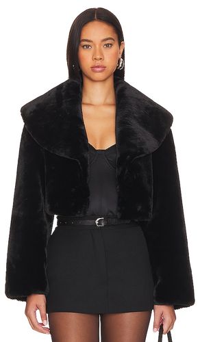 BLOUSON CROPPED DANIKA en . Taille M. Also en L, XL - LAMARQUE - Modalova