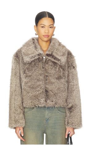 BLOUSON NOVA en . Taille S. Also en M, L - LAMARQUE - Modalova