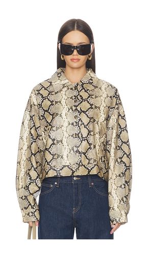 BLOUSON ANGEL en . Taille XXS. Also en XS, S, M, L - LIONESS - Modalova