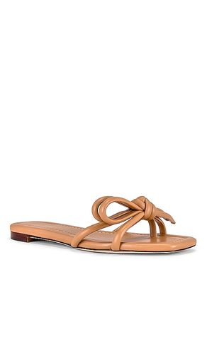 SANDALES HADLEY en . Taille 6. Also en 6.5, 7, 7.5, 8, 8.5, 9 - Loeffler Randall - Modalova