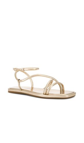 SANDALES NOOR en . Taille 7. Also en - Loeffler Randall - Modalova