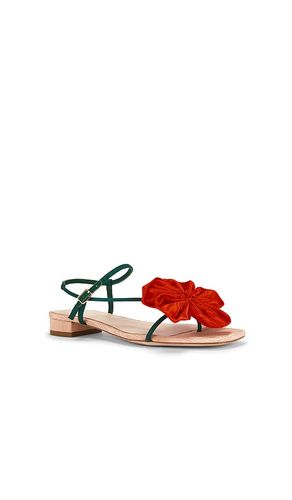 SANDALES PLATES GENEVIEVE en ,. Taille 6. Also en - Loeffler Randall - Modalova