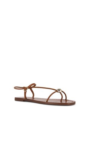 SANDALES PLATES LARA en . Taille 7. Also en 8, 8.5 - Loeffler Randall - Modalova