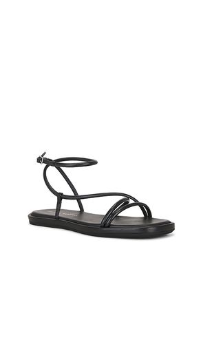 Noor Strappy Ankle Wrap Flat Sandal en . Taille 6. Also en 7, 7.5, 8.5, 10 - Loeffler Randall - Modalova