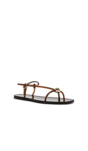 SANDALE EN PLASTIQUE À BRIDES DANA en . Taille 10. Also en 7, 8, 9 - Loeffler Randall - Modalova