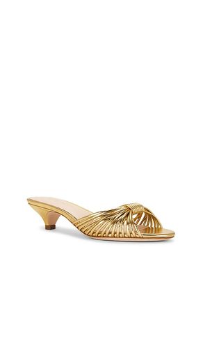 Dixie Strappy Kitten Heel Sandal en . Taille 7. Also en - Loeffler Randall - Modalova