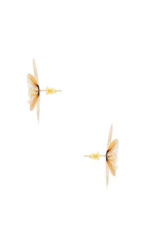 BOUCLES D'OREILLES CALLISTA en - Lovers and Friends - Modalova