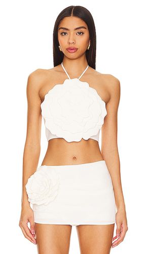 Zora Crop Top in . Size M - Lovers and Friends - Modalova