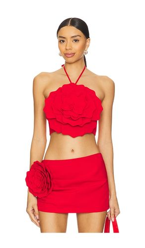 Zora Crop Top in . Size XXS - Lovers and Friends - Modalova