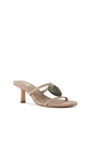 SANDALES ISOLA en . Taille 6. Also en - LPA - Modalova