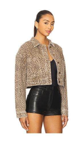 BLOUSON ANOUK en . Taille XS. Also en XL - MINKPINK - Modalova