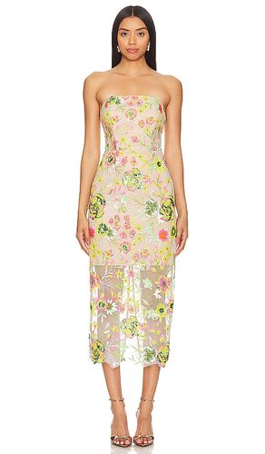 ROBE MI-LONGUE KAIT BOTANICAL PETALS en . Taille 10. Also en 4 - MILLY - Modalova