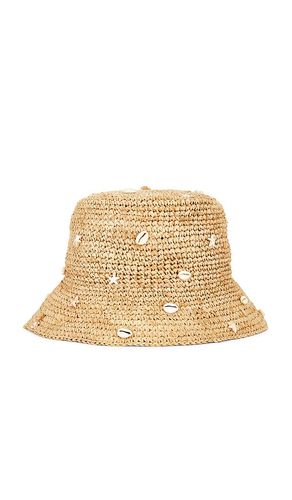 Nikki Beach BOB SHELLEY en Beige - Nikki Beach - Modalova