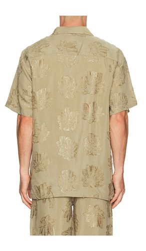 CHEMISE ROCCO PALMOZA en . Taille S. Also en M, L, XL/1X - OAS - Modalova