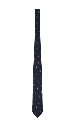 Polo Ralph Lauren CRAVATE en Navy - Polo Ralph Lauren - Modalova
