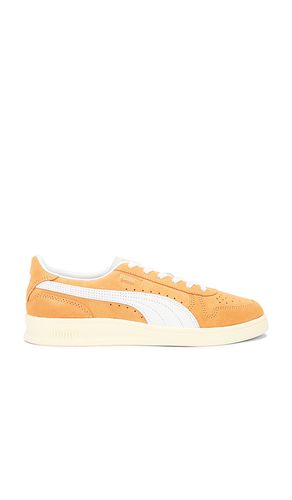 SNEAKERS INDOOR SOFT in . Size 10.5, 8, 8.5, 9, 9.5 - Puma Select - Modalova