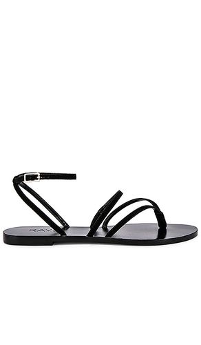 SANDALES VOID in . Size 6, 7, 8, 8.5 - RAYE - Modalova