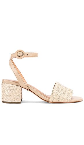 SANDALES NAVA in . Size 5.5, 6, 6.5, 7, 7.5, 8, 8.5, 9, 9.5 - RAYE - Modalova