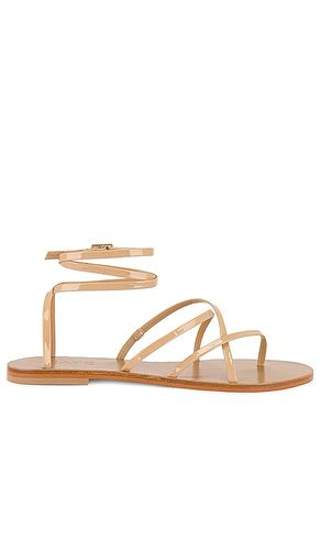 SANDALES COY en . Taille 10. Also en 6, 8 - RAYE - Modalova