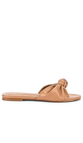 RAYE SANDALES BUFFY in Tan. Size 7 - RAYE - Modalova