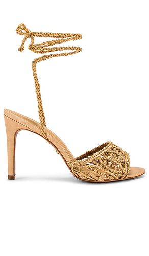 ESCARPINS PAULO en . Taille 6.5. Also en 6, 7, 7.5, 8, 8.5, 9 - RAYE - Modalova