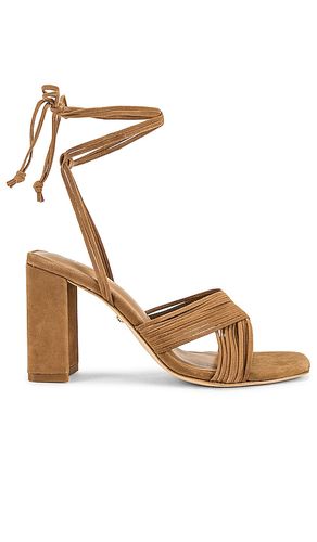 ESCARPINS GIAN en . Taille 5.5. Also en 6, 7, 7.5, 8, 8.5, 9, 9.5, 10 - RAYE - Modalova