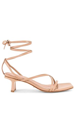 ESCARPINS DELANEY en . Taille 6. Also en 6.5, 7, 7.5, 8, 9 - RAYE - Modalova