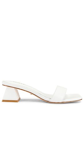 ESCARPINS JULIE en . Taille 6. Also en 7, 7.5, 8 - RAYE - Modalova