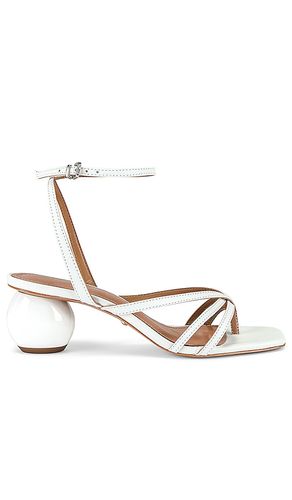 ESCARPINS HORIZON en . Taille 7. Also en - RAYE - Modalova