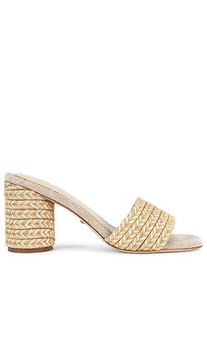 ESCARPINS SOOKIES in . Size 5.5, 6, 6.5, 7, 7.5, 8, 8.5, 9 - RAYE - Modalova