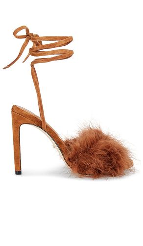 ESCARPINS FARA in . Size 5.5, 6.5, 7, 7.5, 8, 8.5, 9, 9.5 - RAYE - Modalova