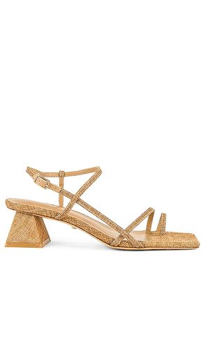 ESCARPINS ESTHER en . Taille 6. Also en 7.5, 8.5 - RAYE - Modalova