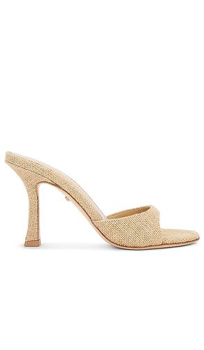 ESCARPINS ALEJANDRA en . Taille 6. Also en 8, 10 - RAYE - Modalova