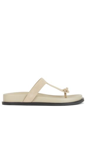 NU-PIED CHANNI en . Taille 6. Also en 7, 8, 9 - RAYE - Modalova