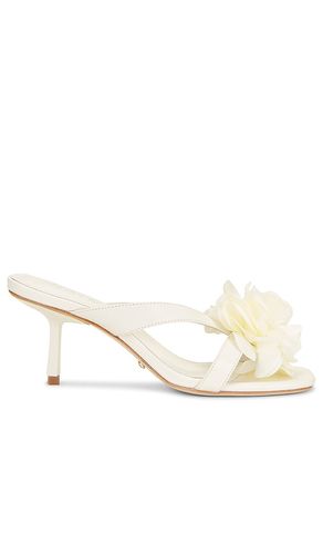 ESCARPINS FLOR en . Taille 5.5. Also en 6.5, 7, 7.5, 8, 8.5, 9, 9.5, 10 - RAYE - Modalova