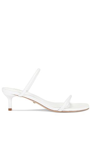 SANDALES RENE en . Taille 5.5. Also en 6, 6.5, 7, 8, 8.5 - RAYE - Modalova