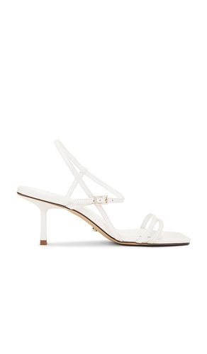 SANDALES RILEY in . Size 7 - RAYE - Modalova