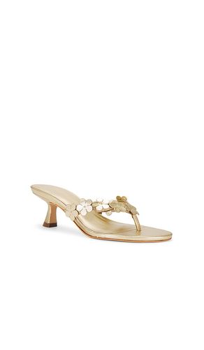 SANDALES ZOEY en . Taille 8.5. Also en - RAYE - Modalova