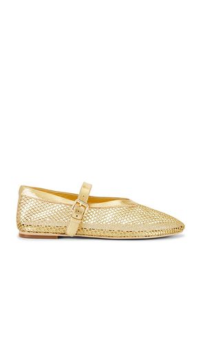 PLAT NOAM in . Size 7.5 - RAYE - Modalova