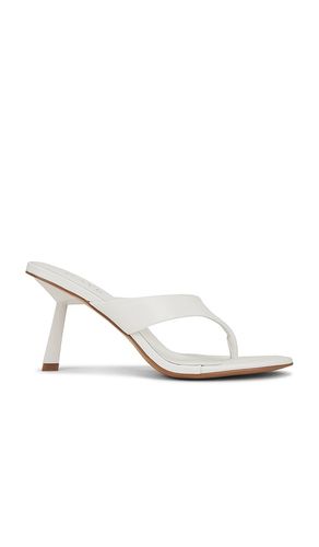 SANDALES ZAHO en . Taille 7. Also en 7.5 - RAYE - Modalova