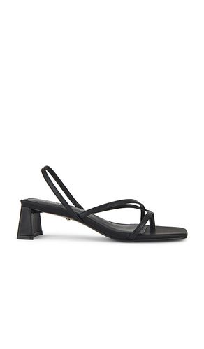 SANDALES À TALONS PORTER en . Taille 6. Also en 7, 10 - RAYE - Modalova